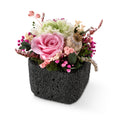 Flora