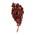 Hedera
