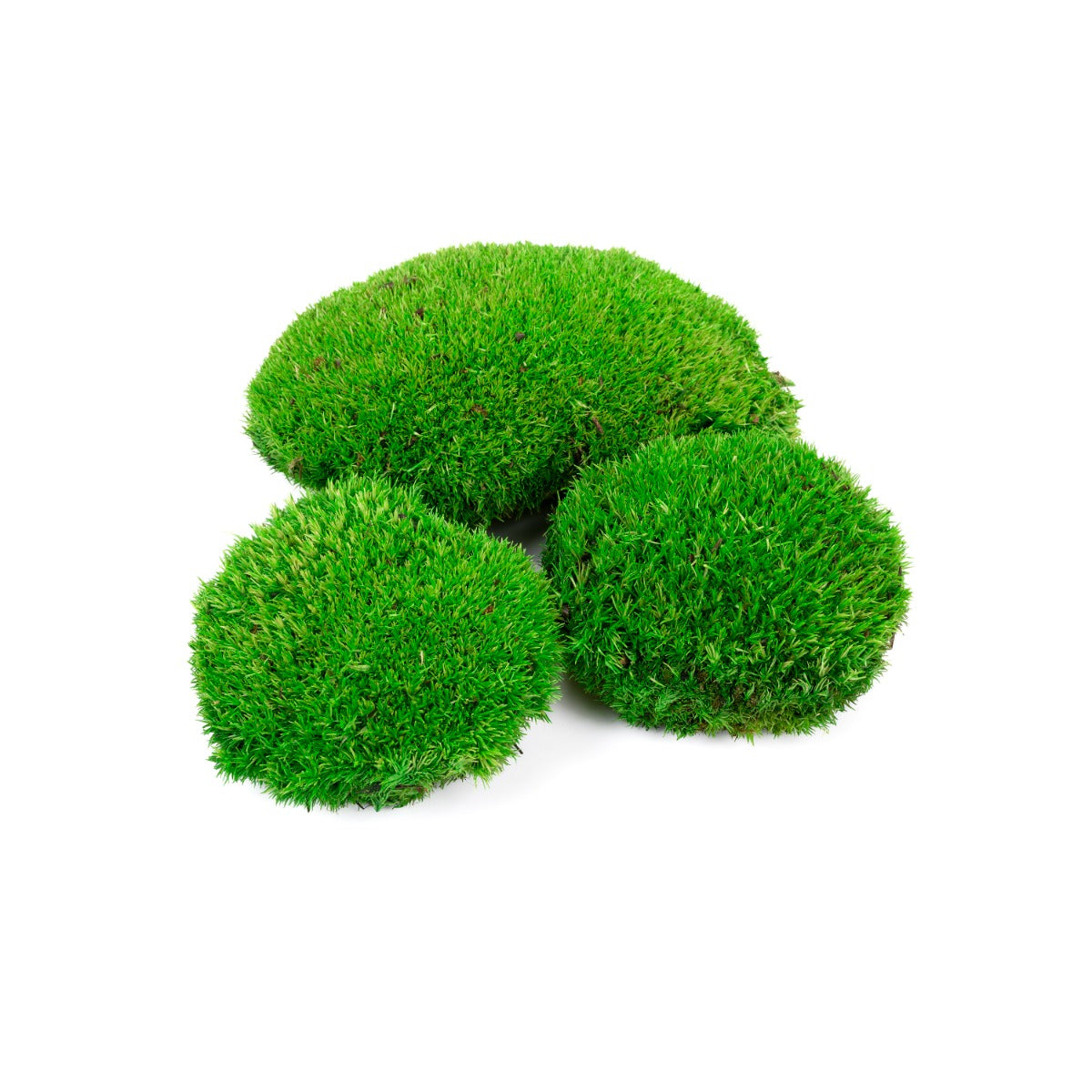 Pole Moss