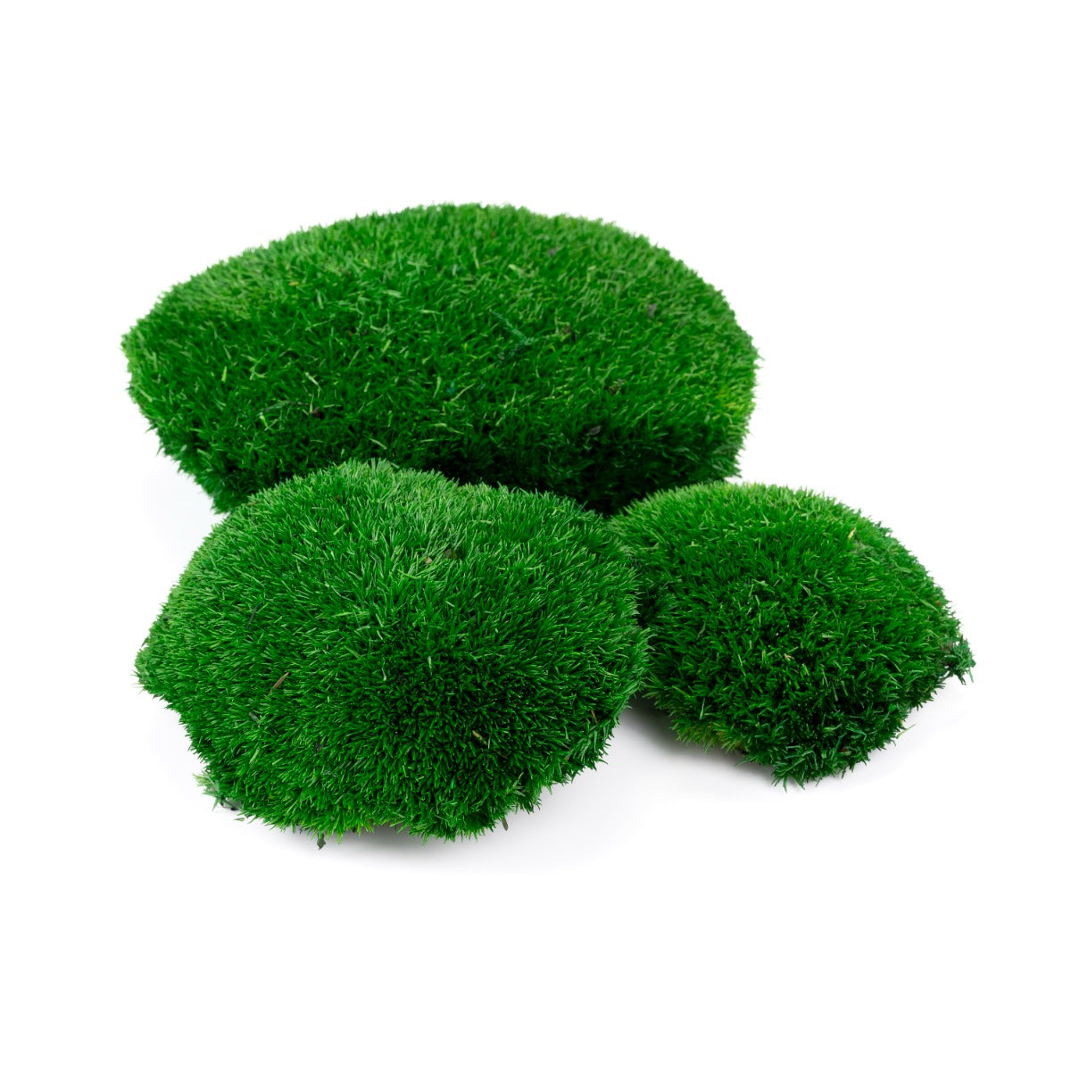 Pole Moss