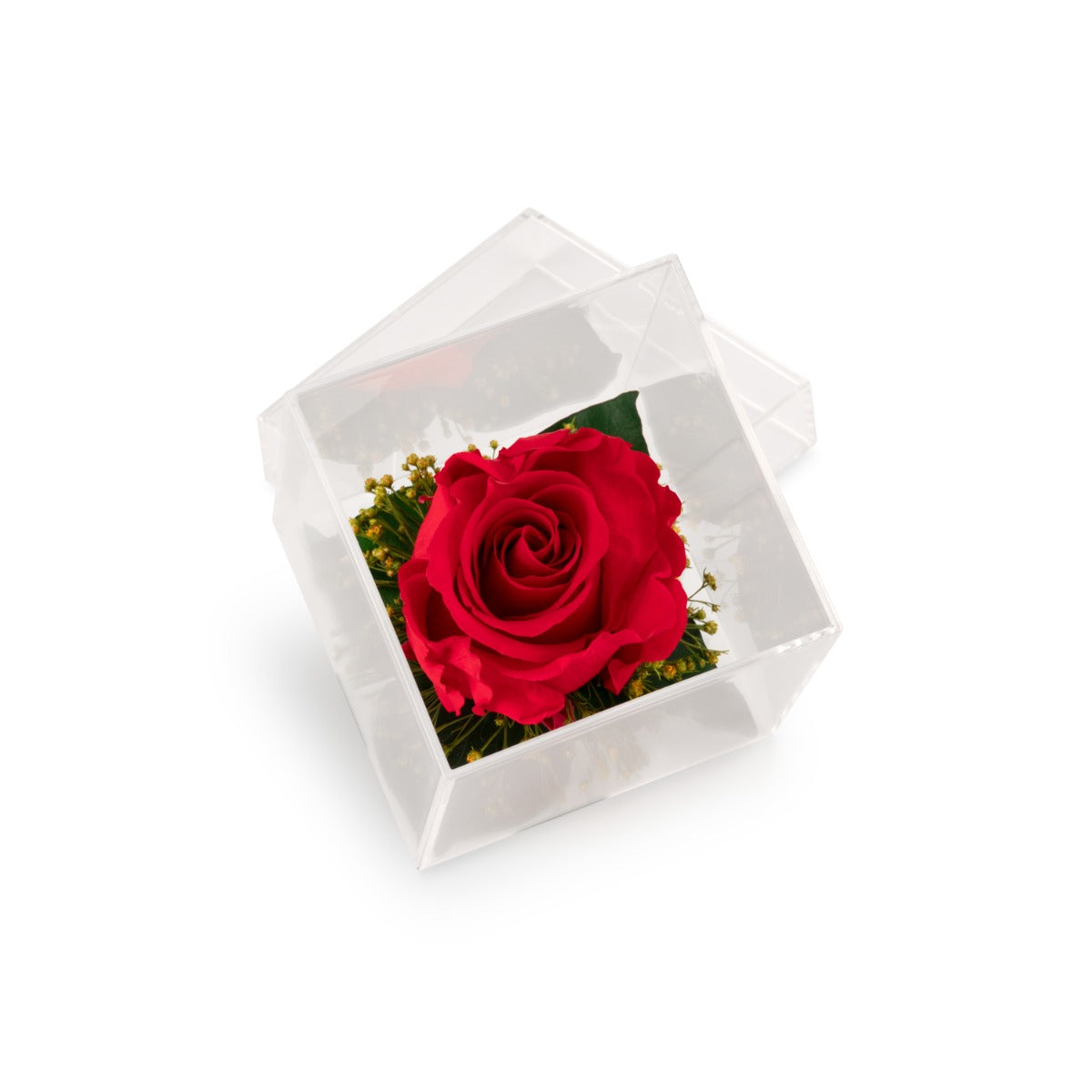 Cube