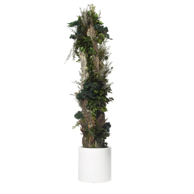 Totem Forest