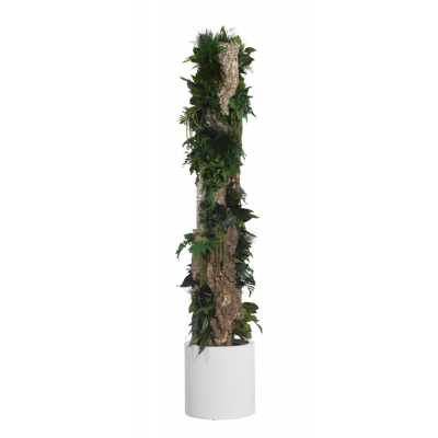 Totem Meadow